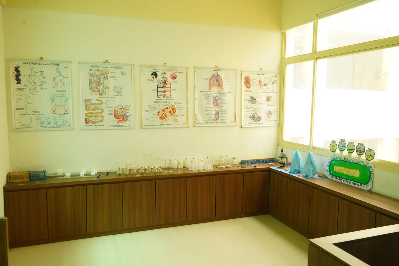 Patient care setup